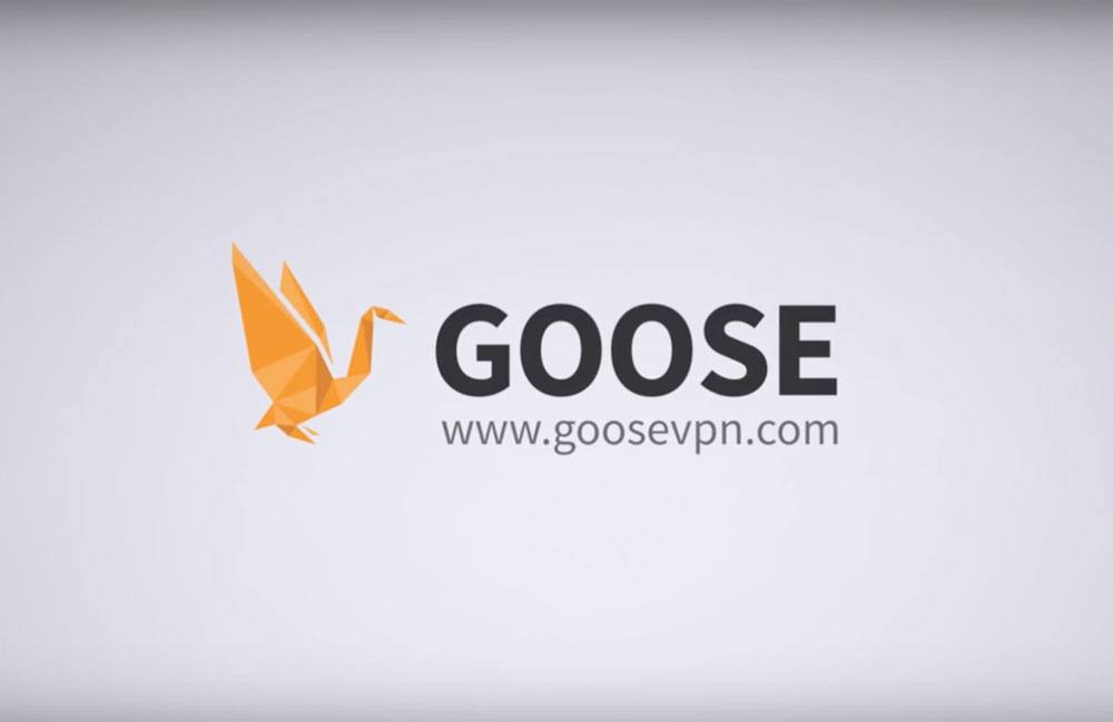 goose software update
